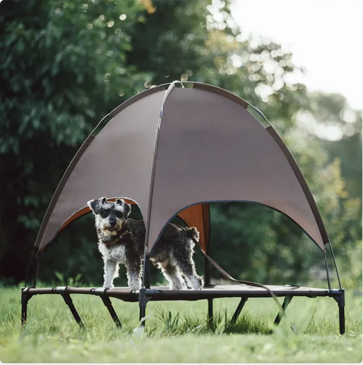 Breathable Double-layer Reinforced Load-bearing Tent